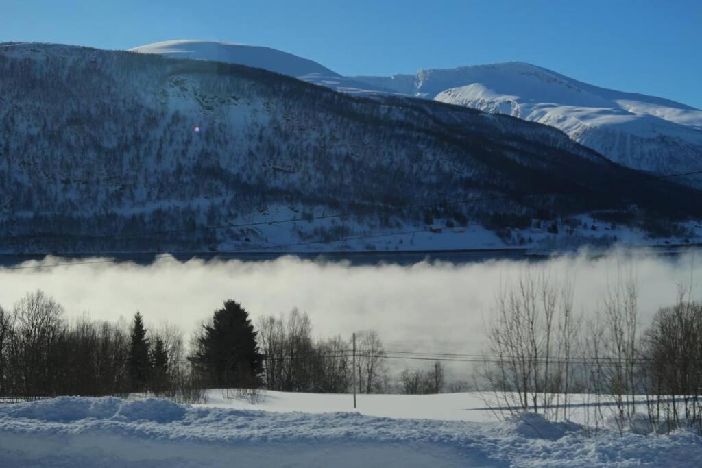 New Magnificent View Apartment Near The Centre Tromsø Exteriör bild