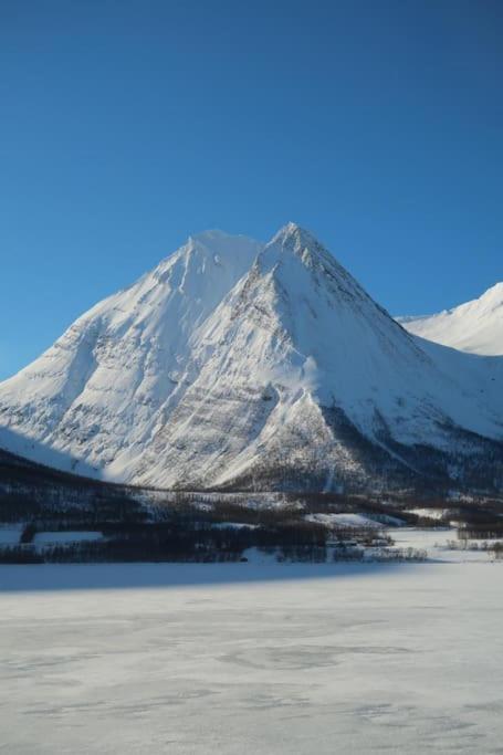 New Magnificent View Apartment Near The Centre Tromsø Exteriör bild