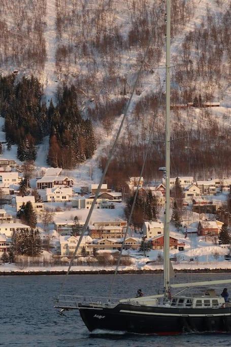 New Magnificent View Apartment Near The Centre Tromsø Exteriör bild