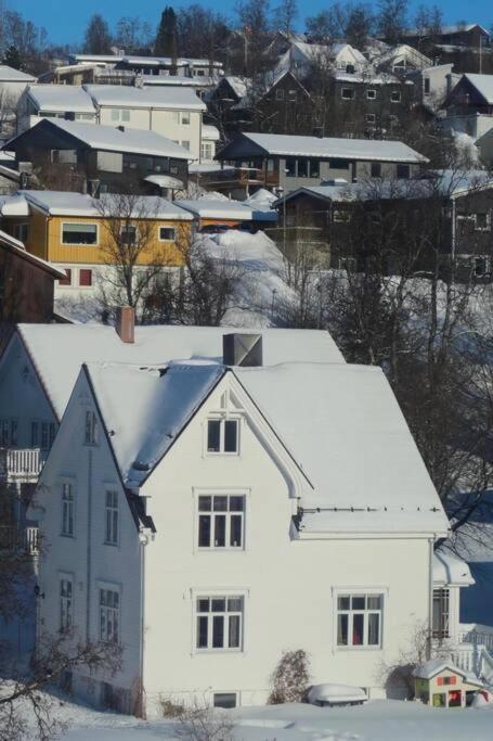 New Magnificent View Apartment Near The Centre Tromsø Exteriör bild